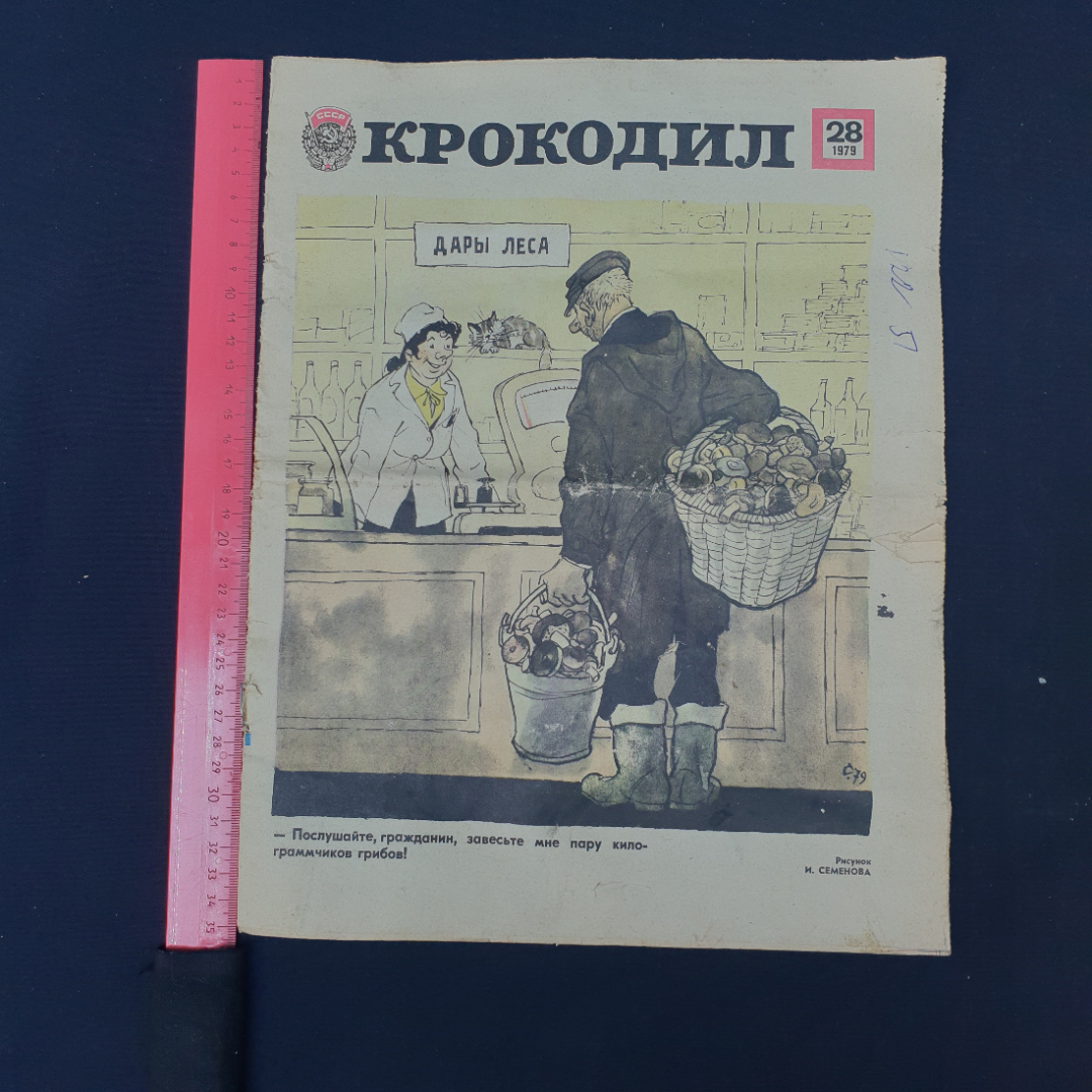 Картинка 5