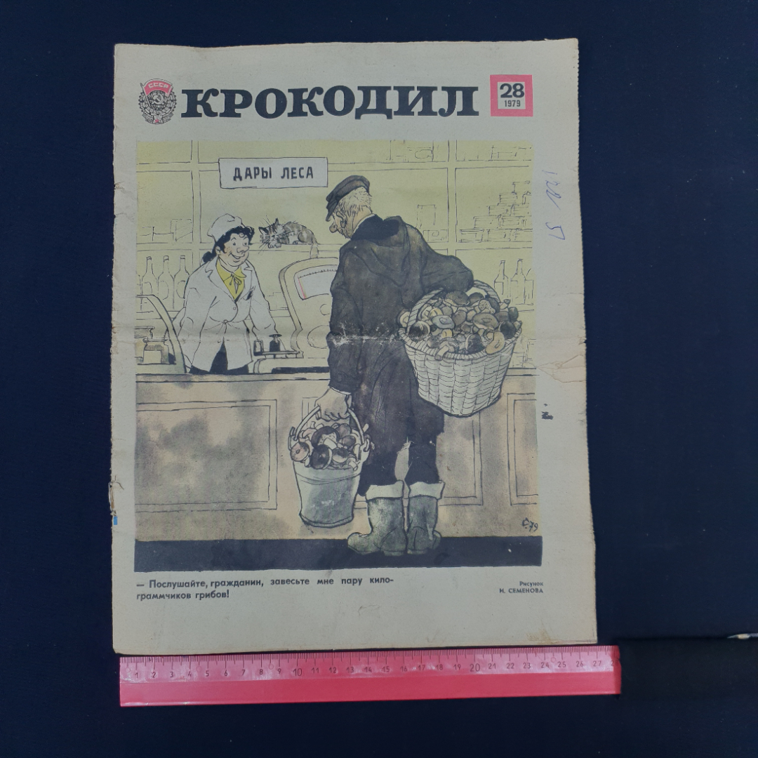 Картинка 6