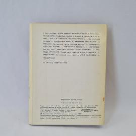 Картинка 4