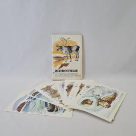 Картинка 1