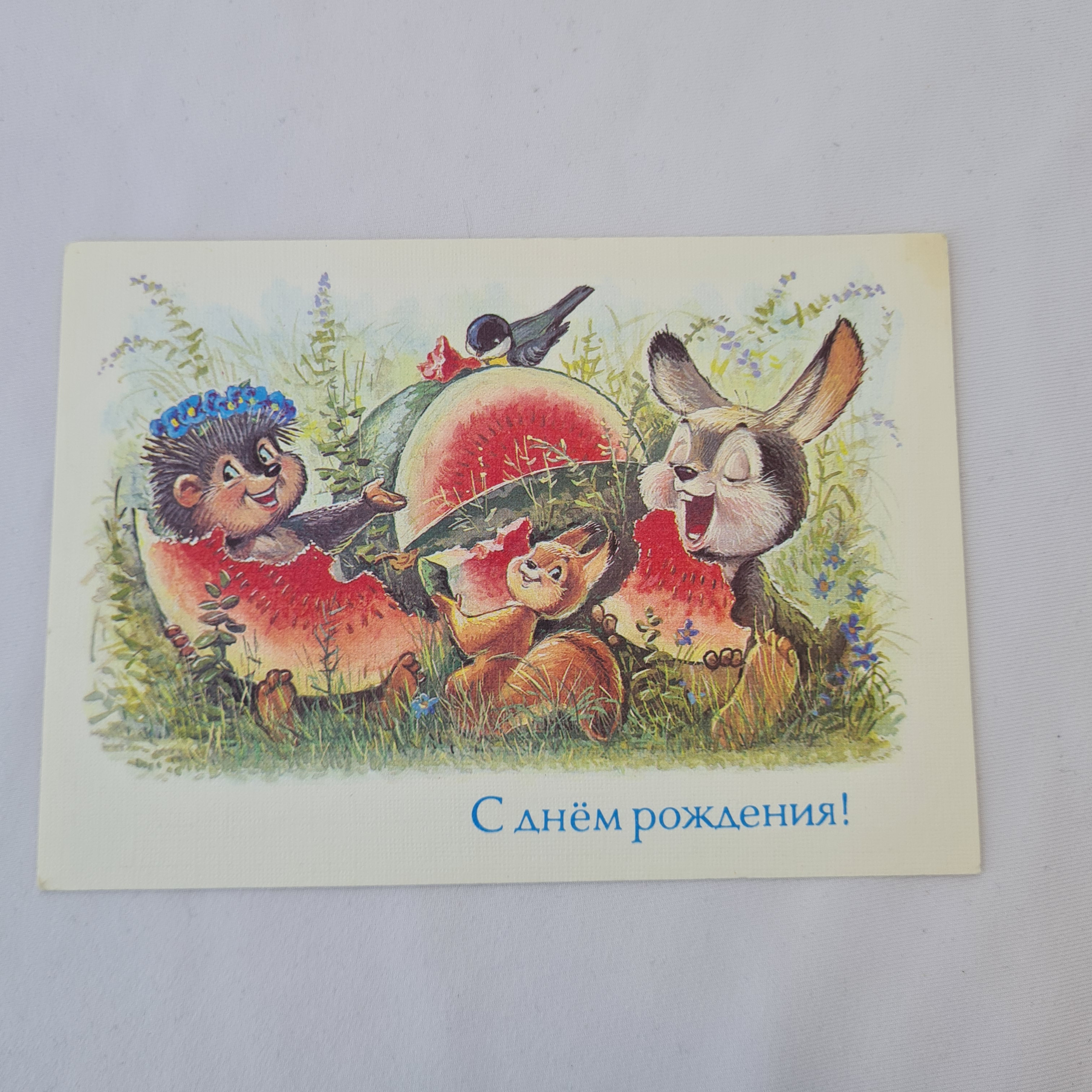 Картинка 1
