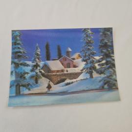 Открытка старинная, винтажная. Winterlandschaft, зимний пейзаж с домом, елями и снегом