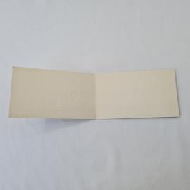 Картинка 2