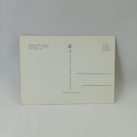 Картинка 2