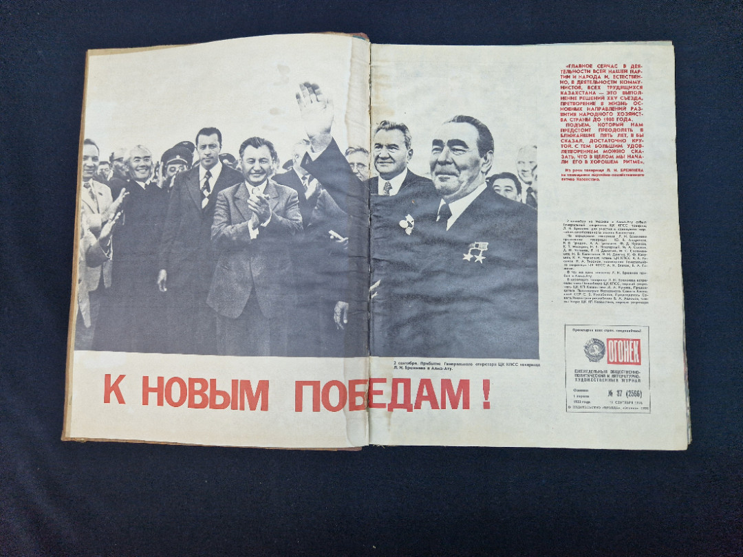 Картинка 5