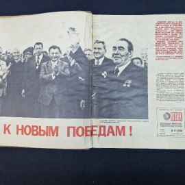 Картинка 5
