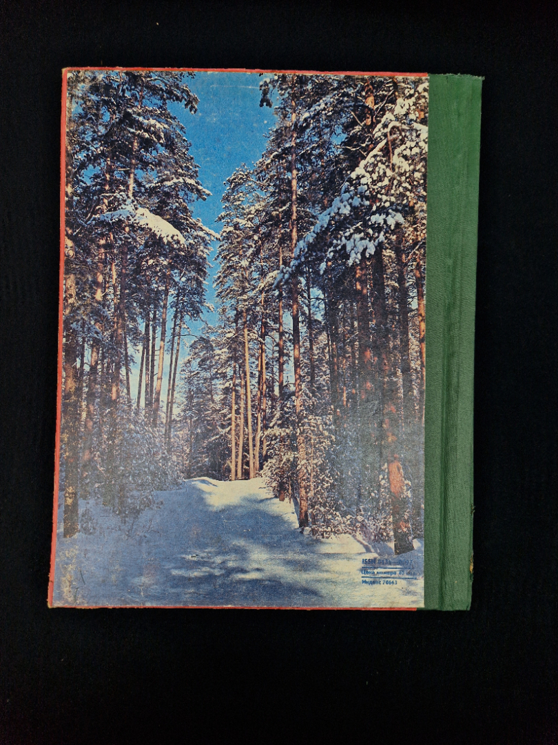 Картинка 3