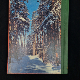 Картинка 3
