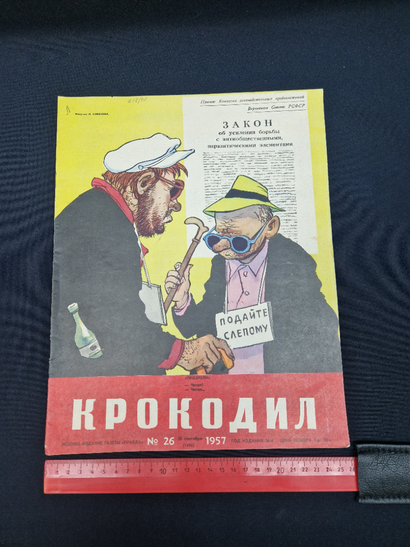 Картинка 7