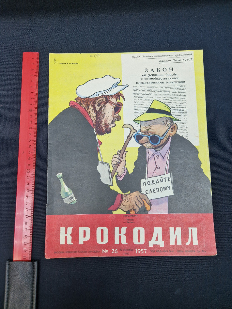 Картинка 8