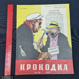Картинка 8