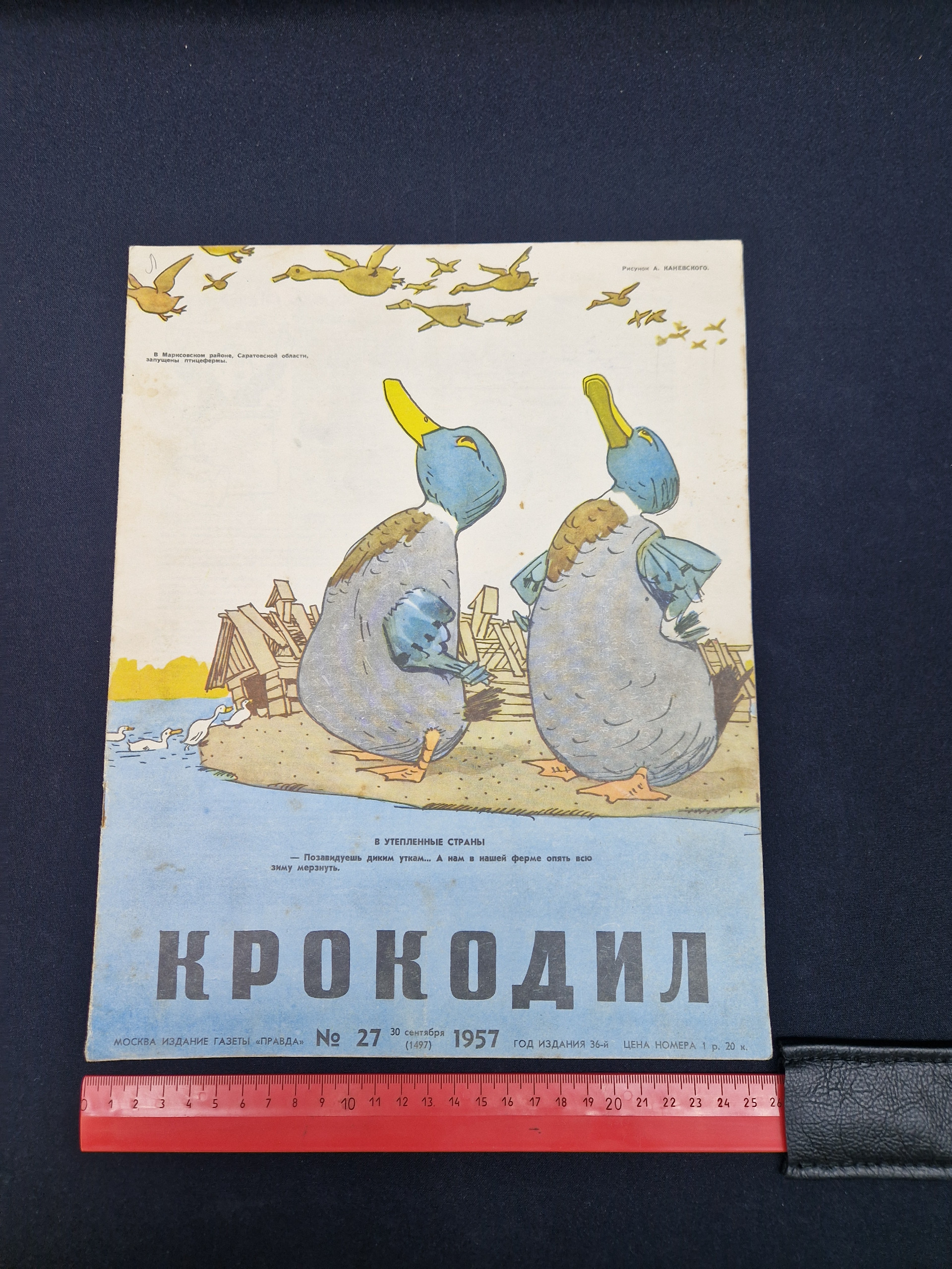 Картинка 7