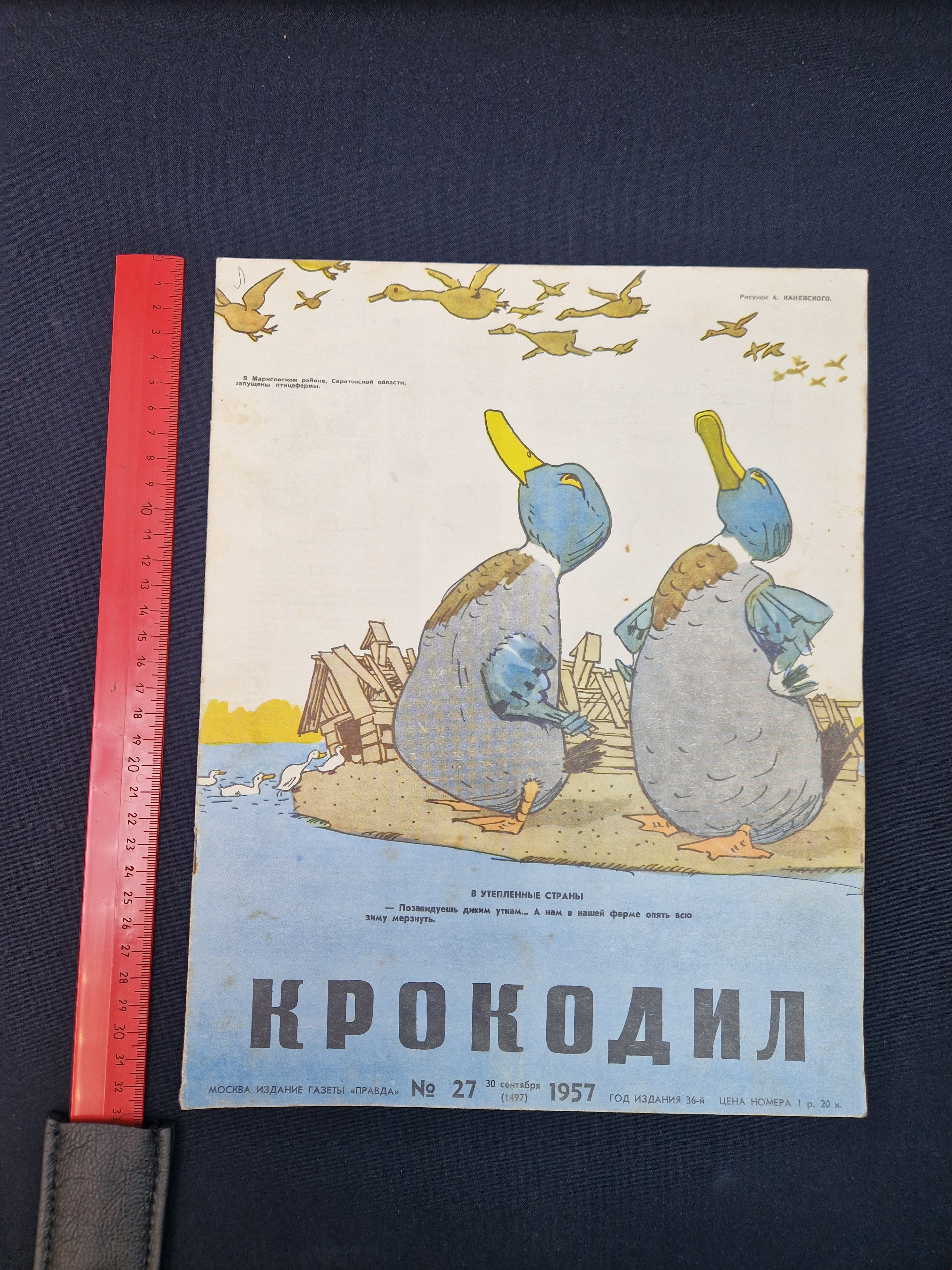 Картинка 8