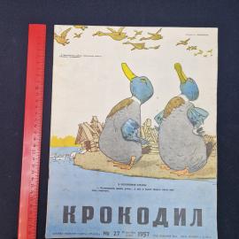 Картинка 8
