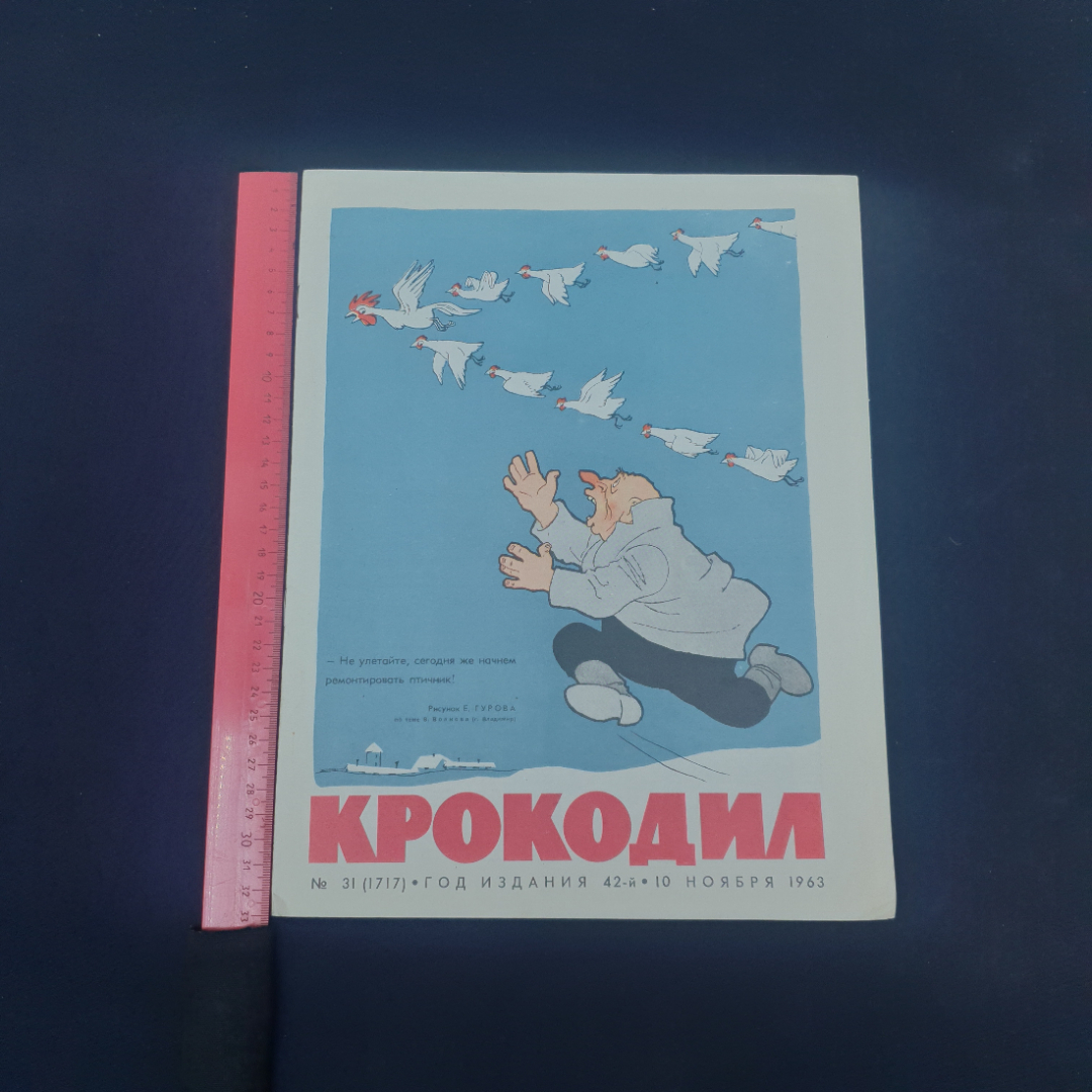Картинка 4