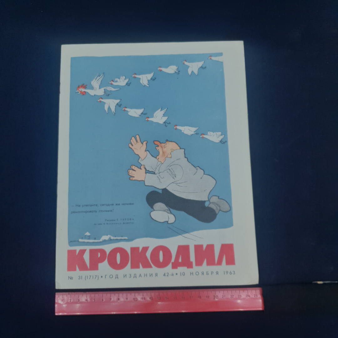 Картинка 5