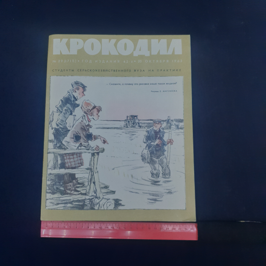Картинка 5