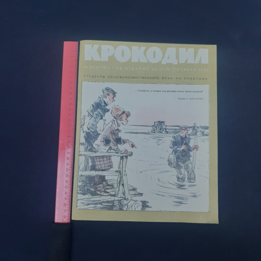 Картинка 6