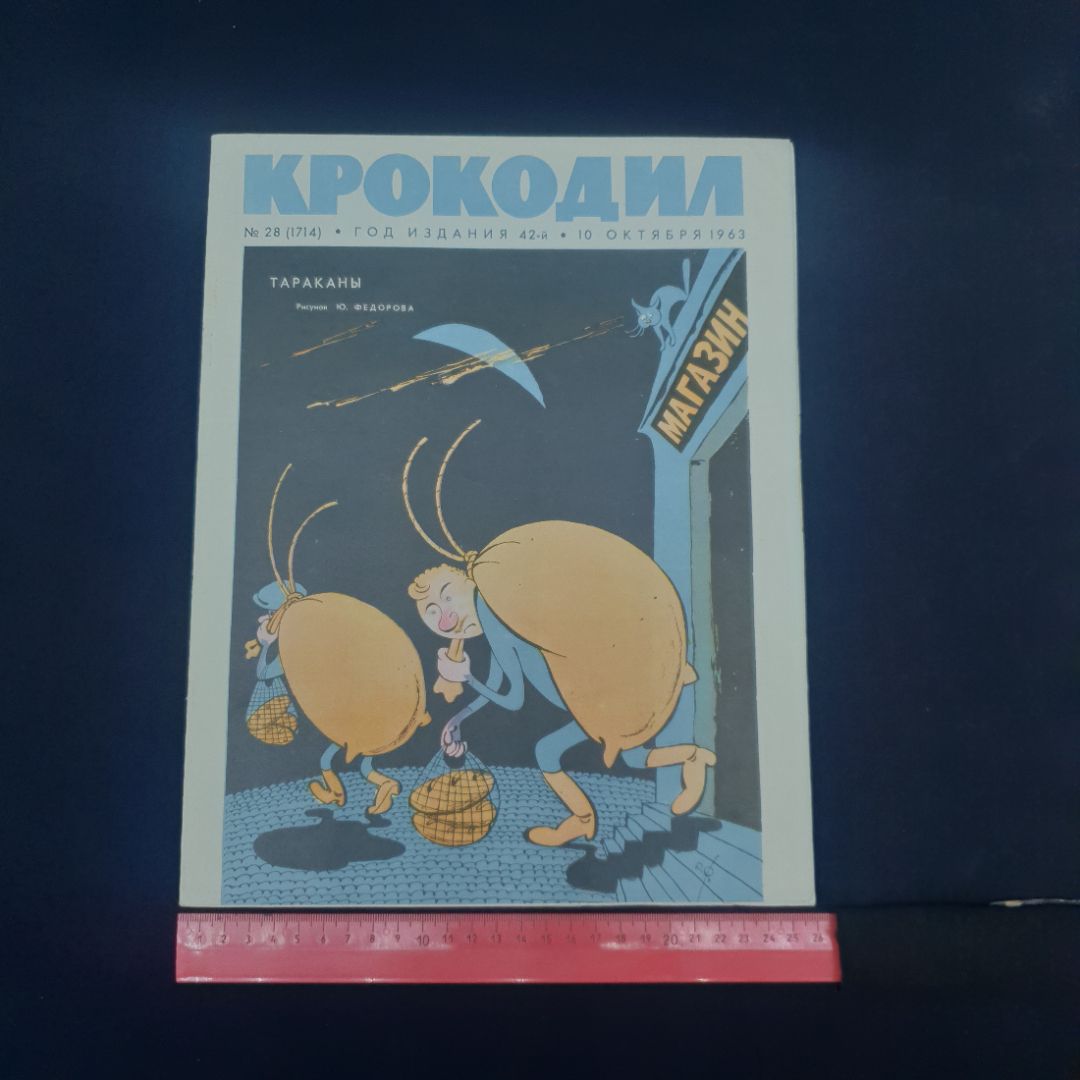 Картинка 5