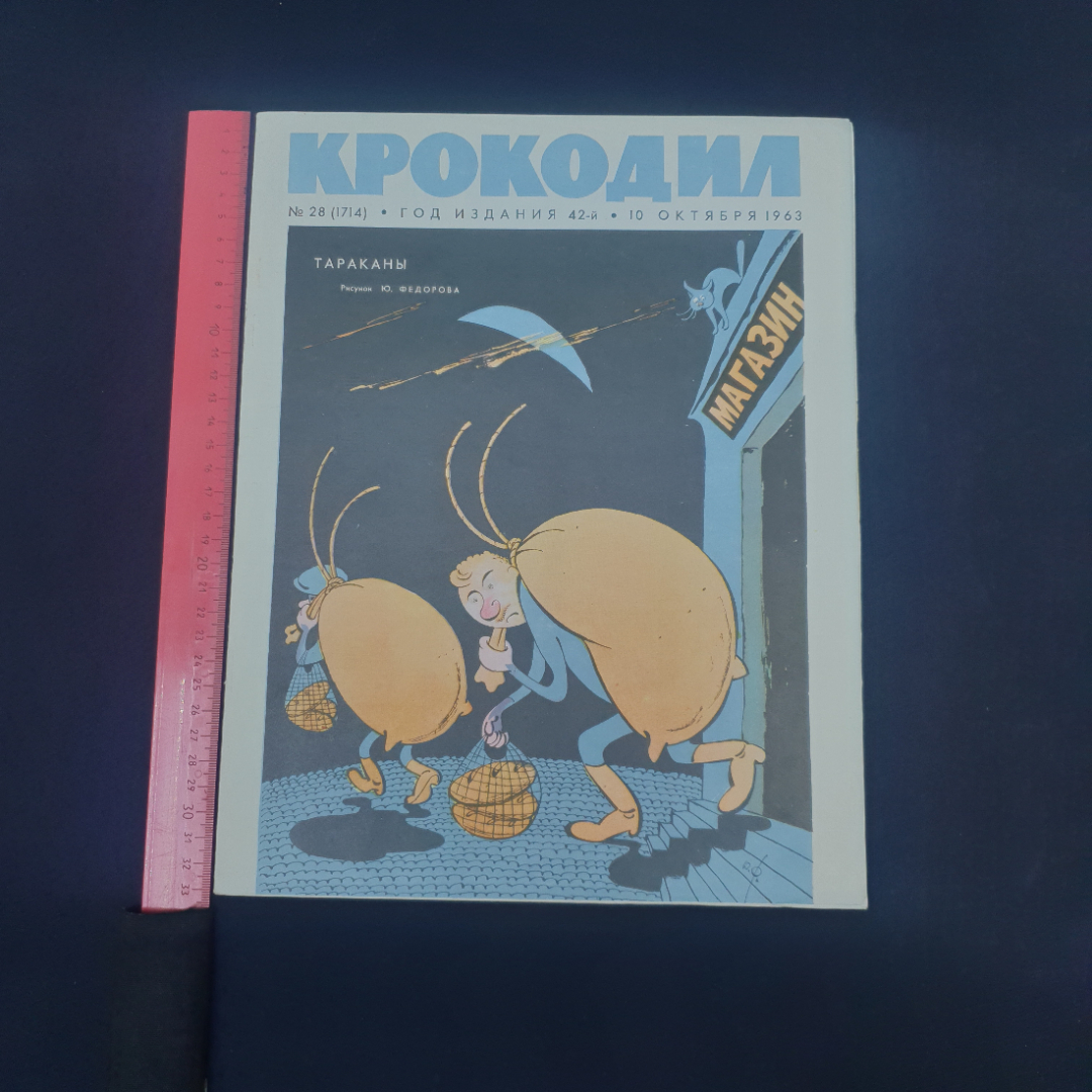 Картинка 6