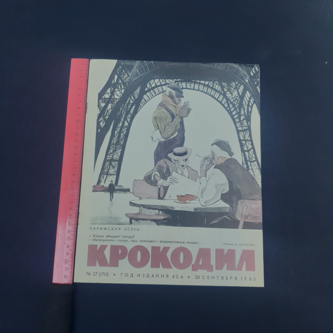 Картинка 5