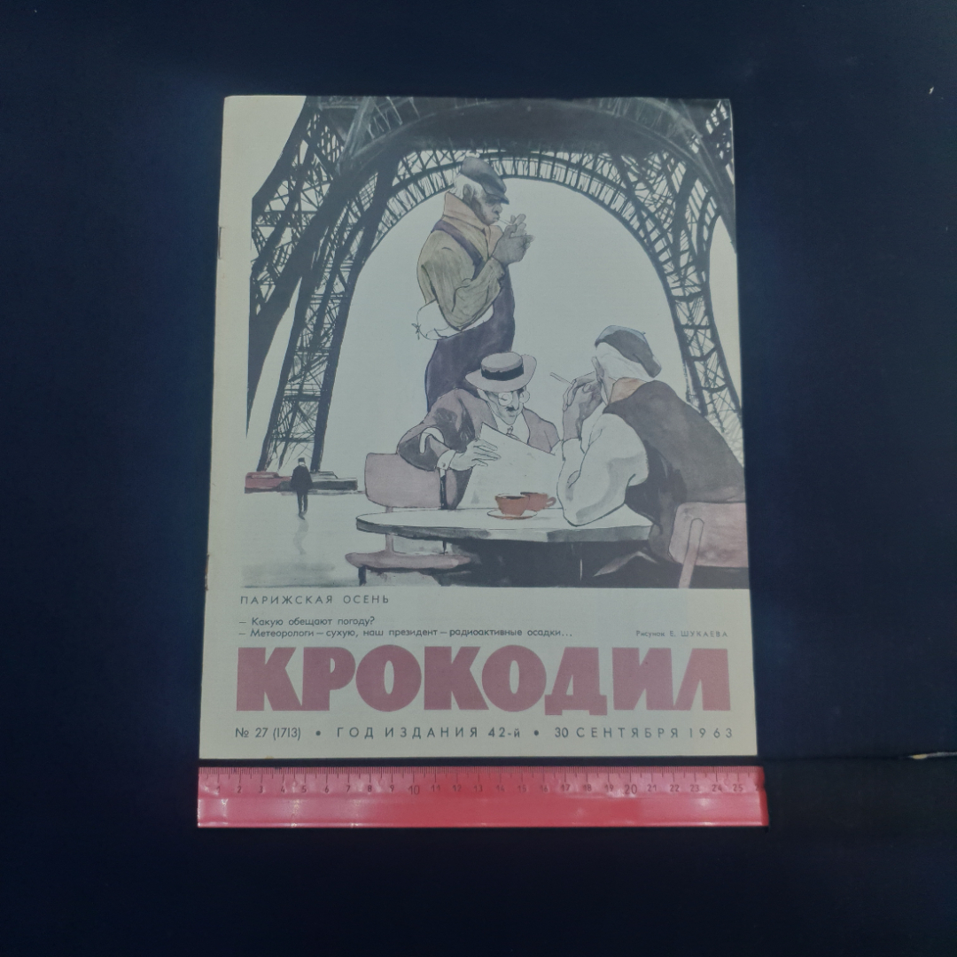 Картинка 6