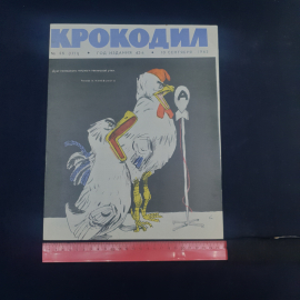 Картинка 6