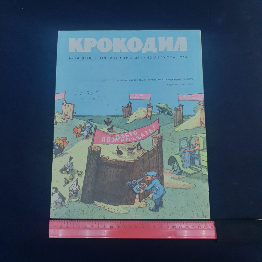 Картинка 5