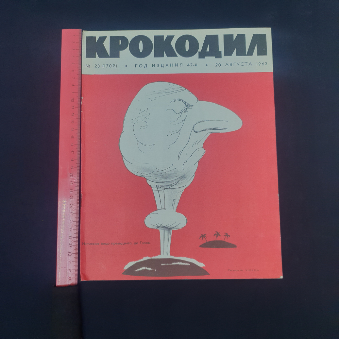 Картинка 5
