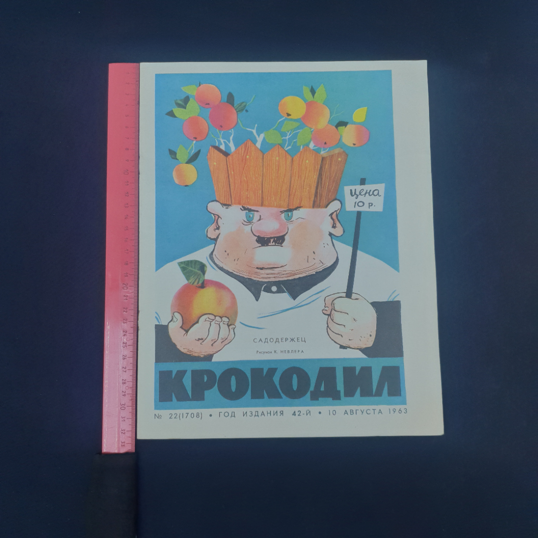 Картинка 5