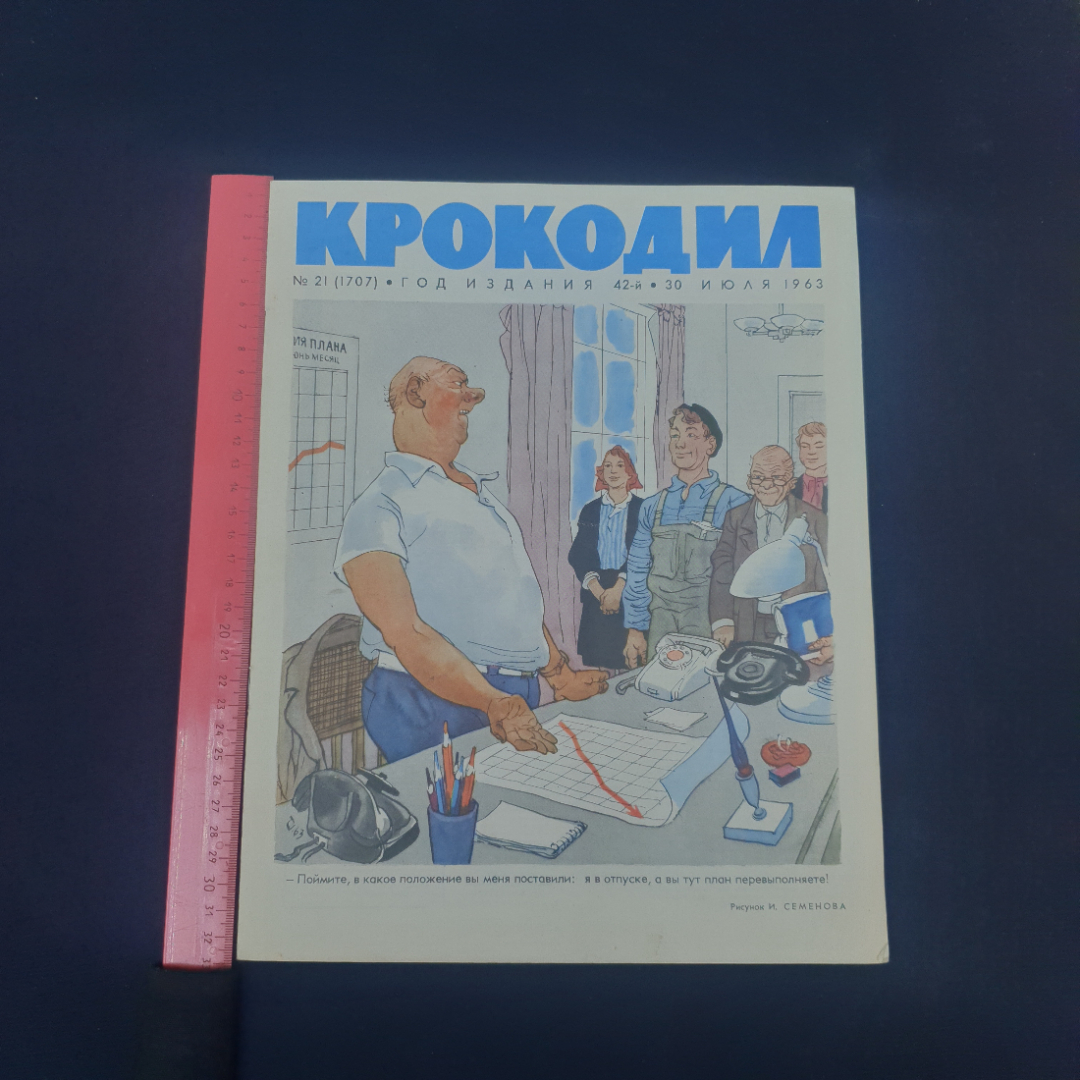 Картинка 5
