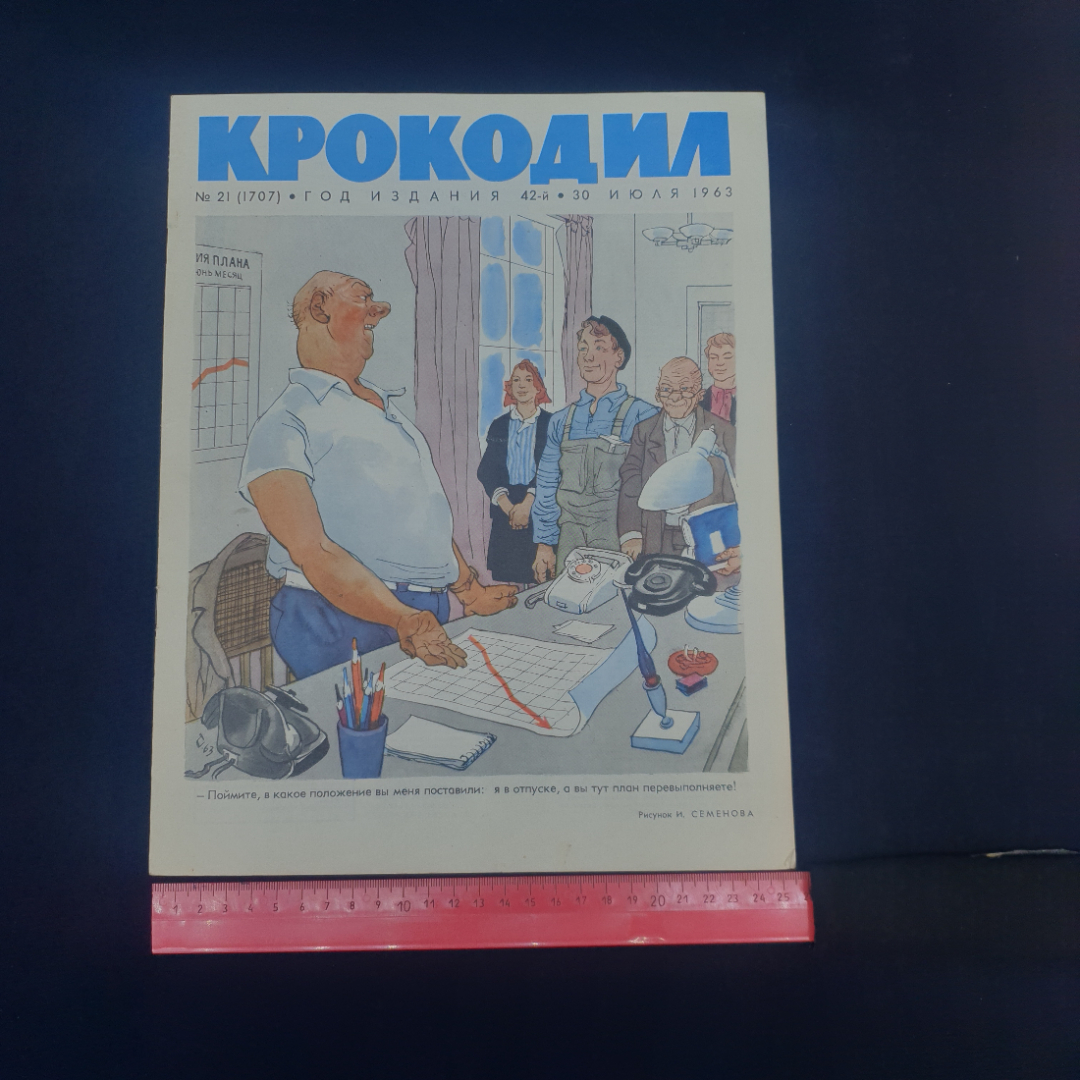 Картинка 6