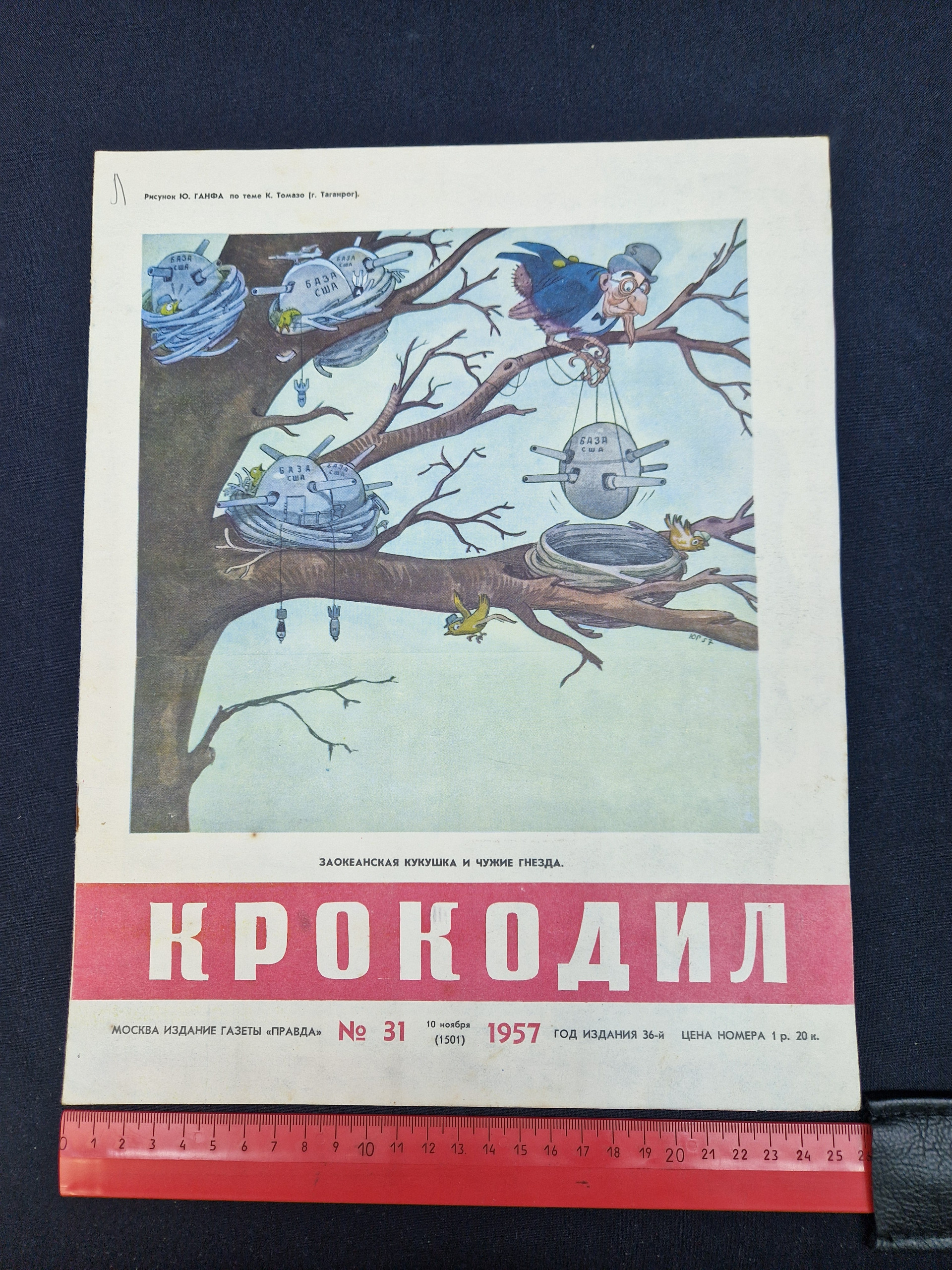 Картинка 7