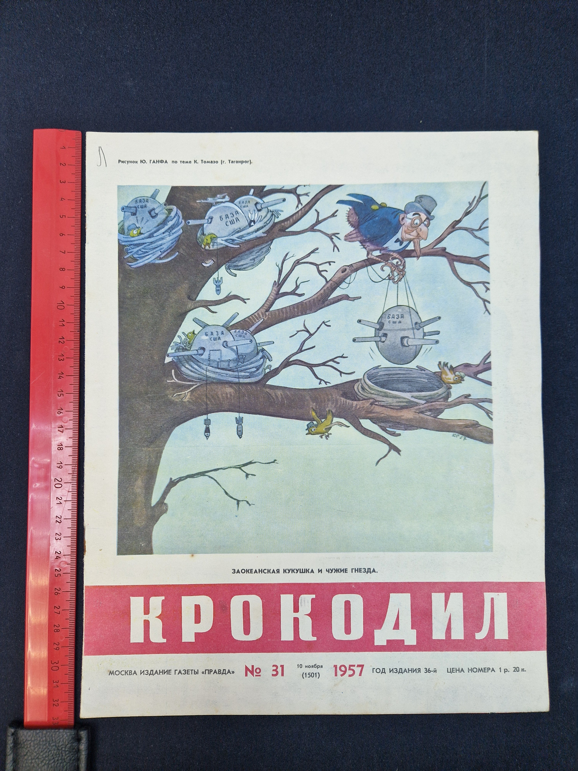 Картинка 8
