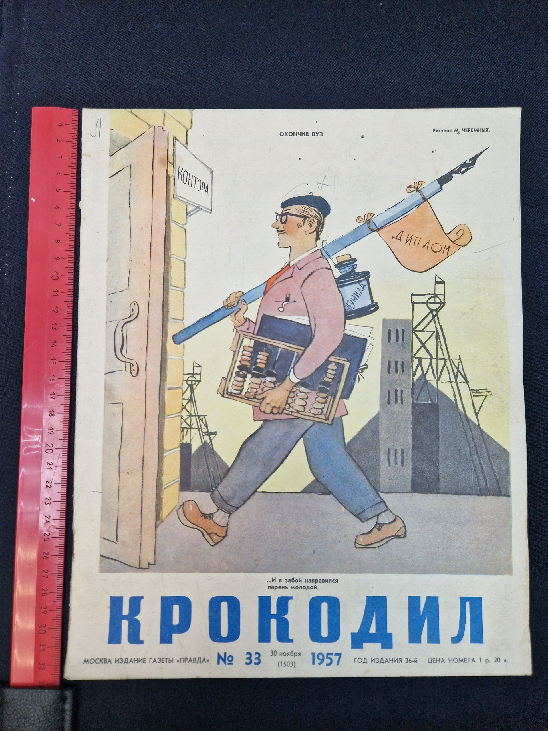 Картинка 8