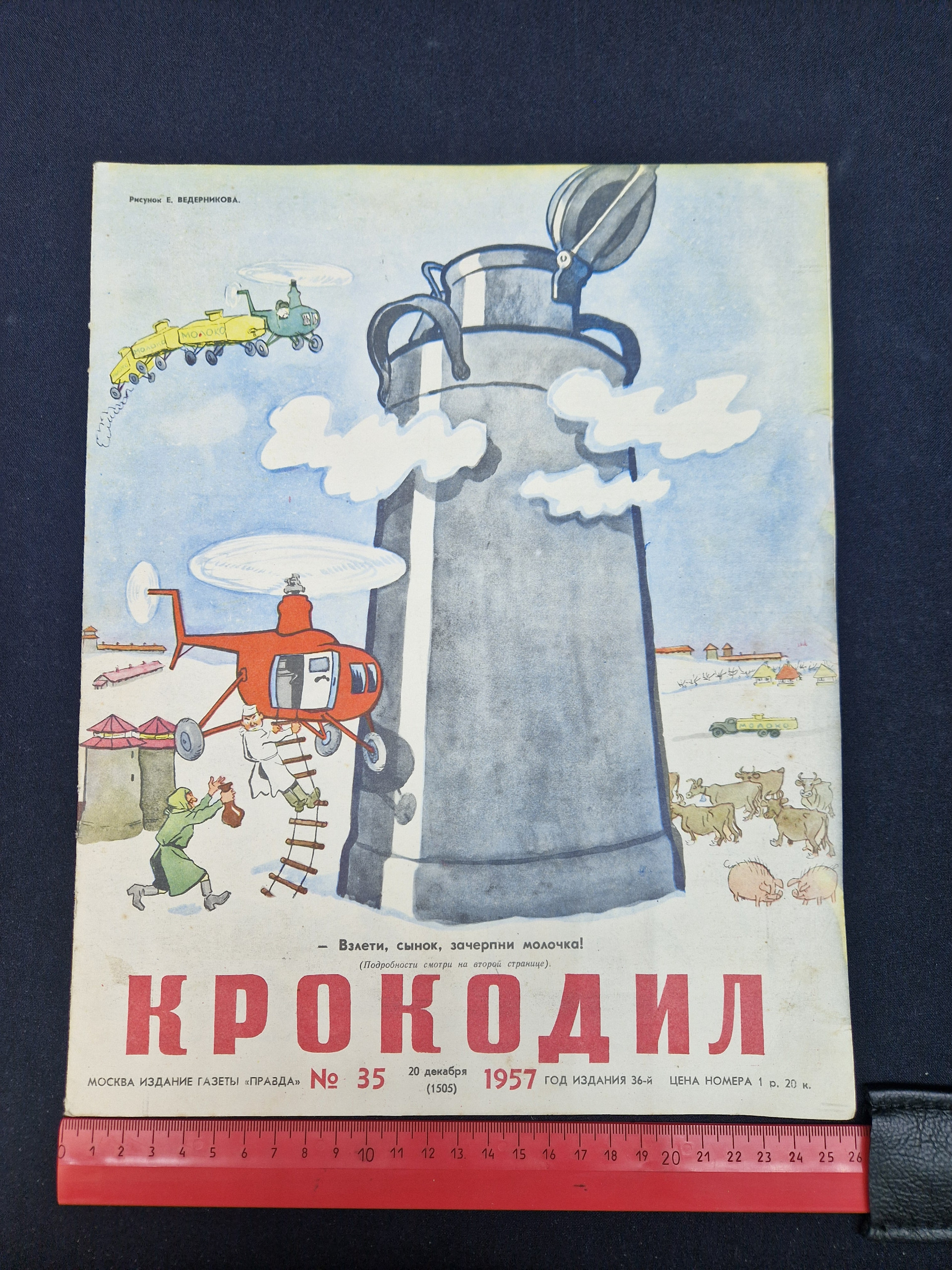 Картинка 7