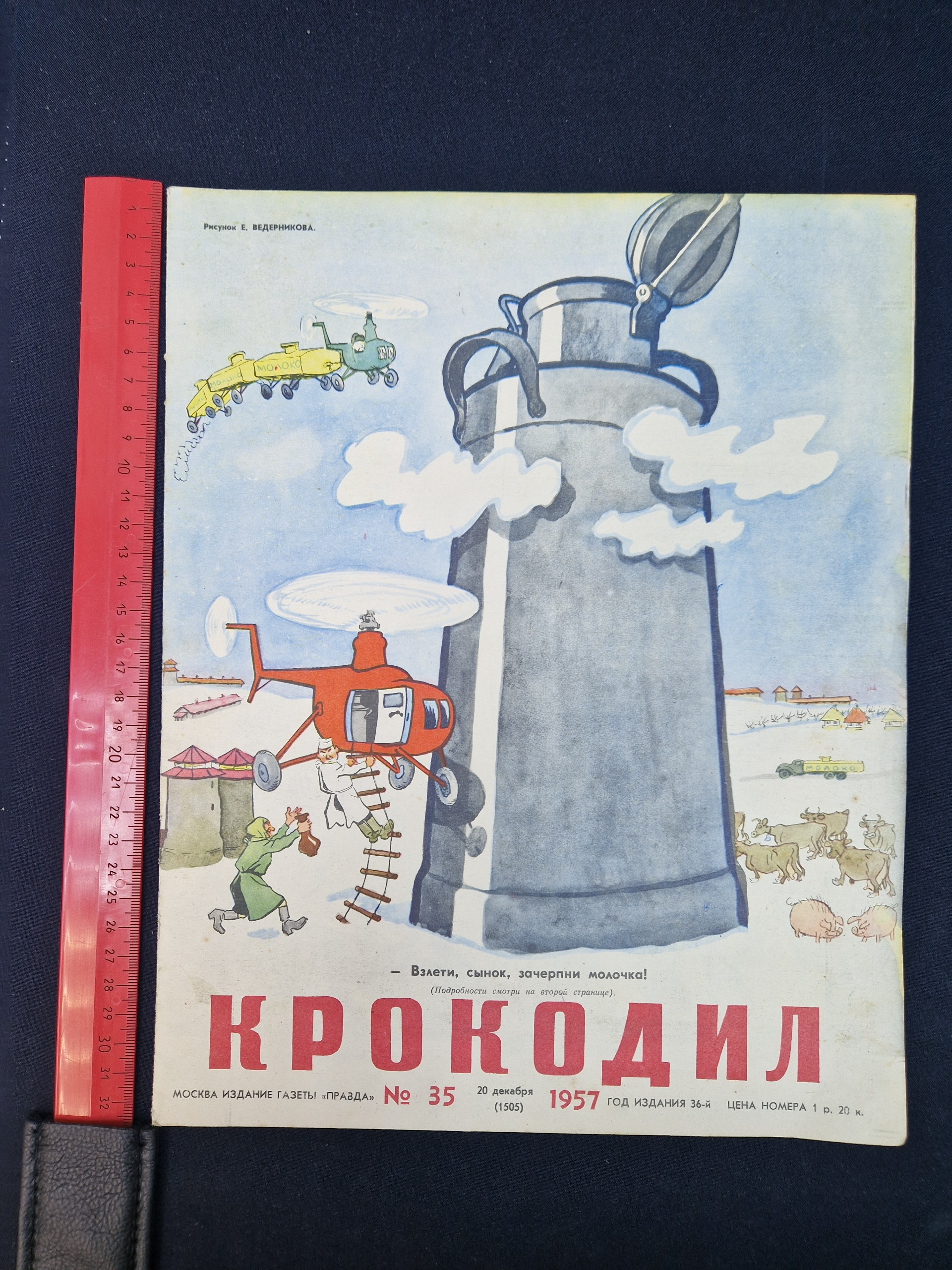 Картинка 8