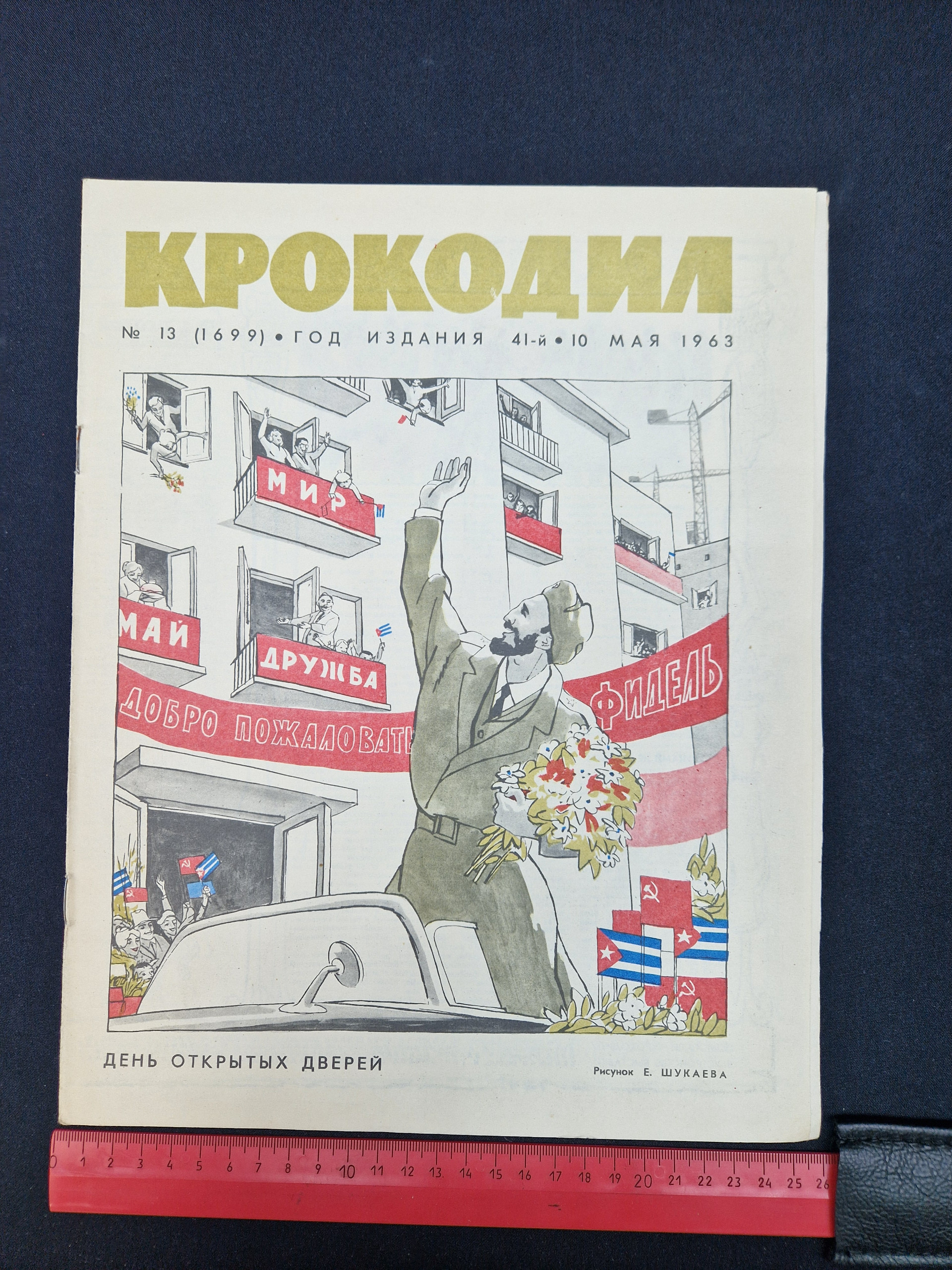Картинка 7