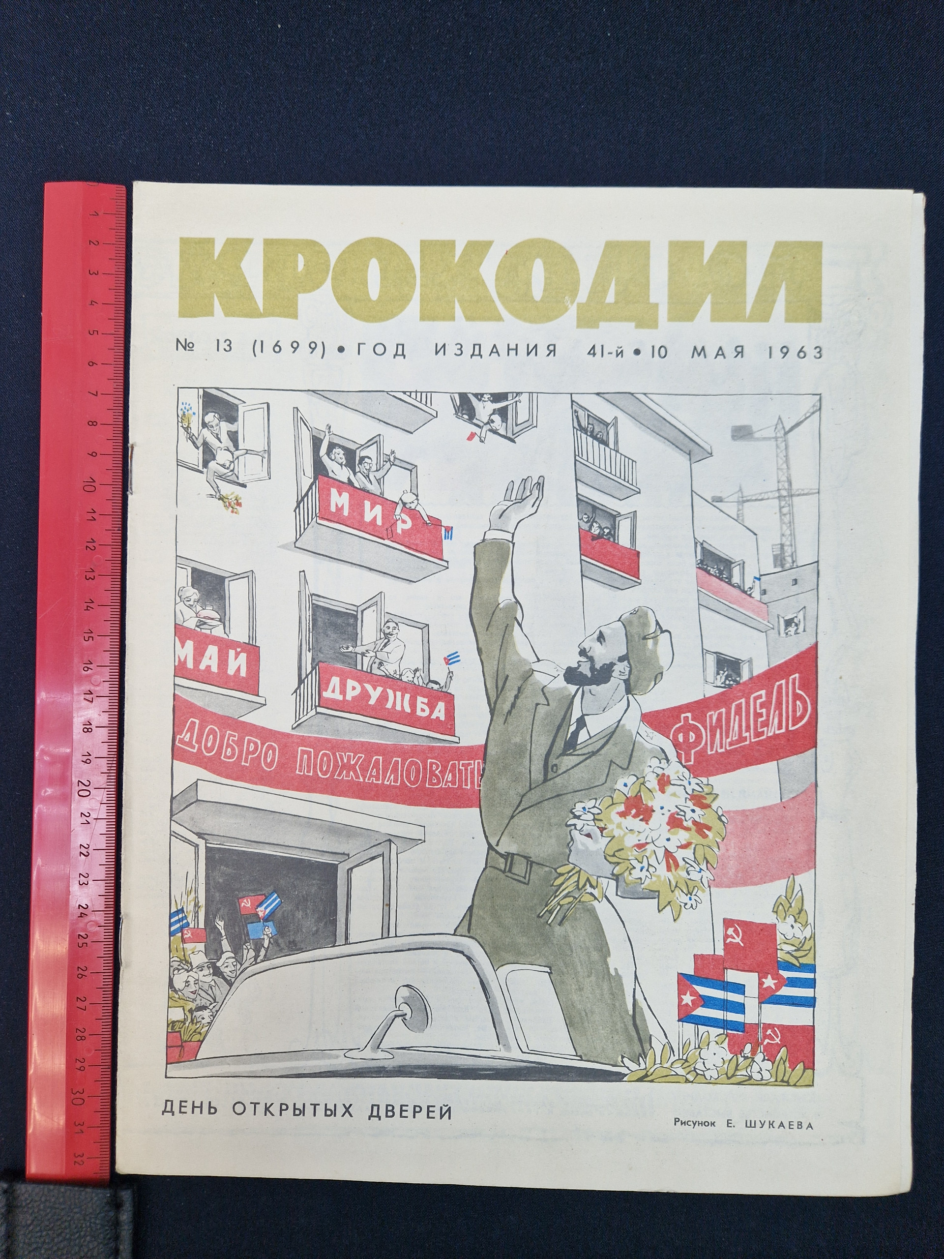 Картинка 8