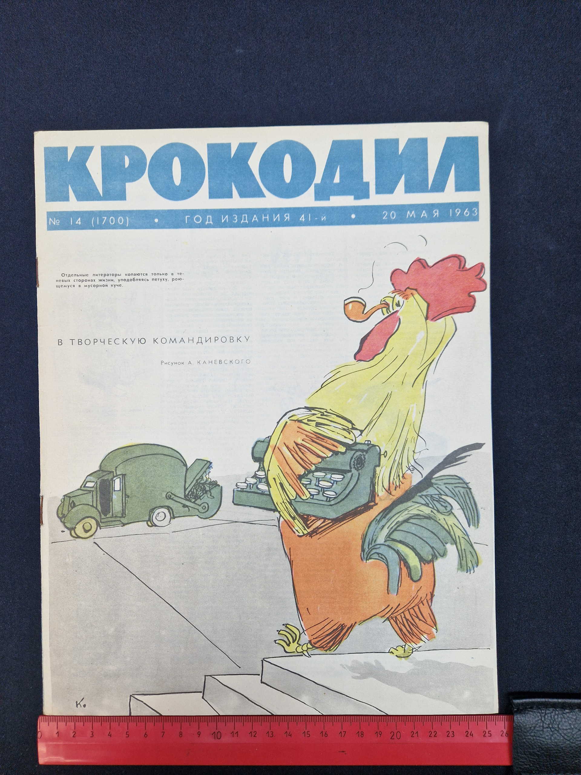 Картинка 7