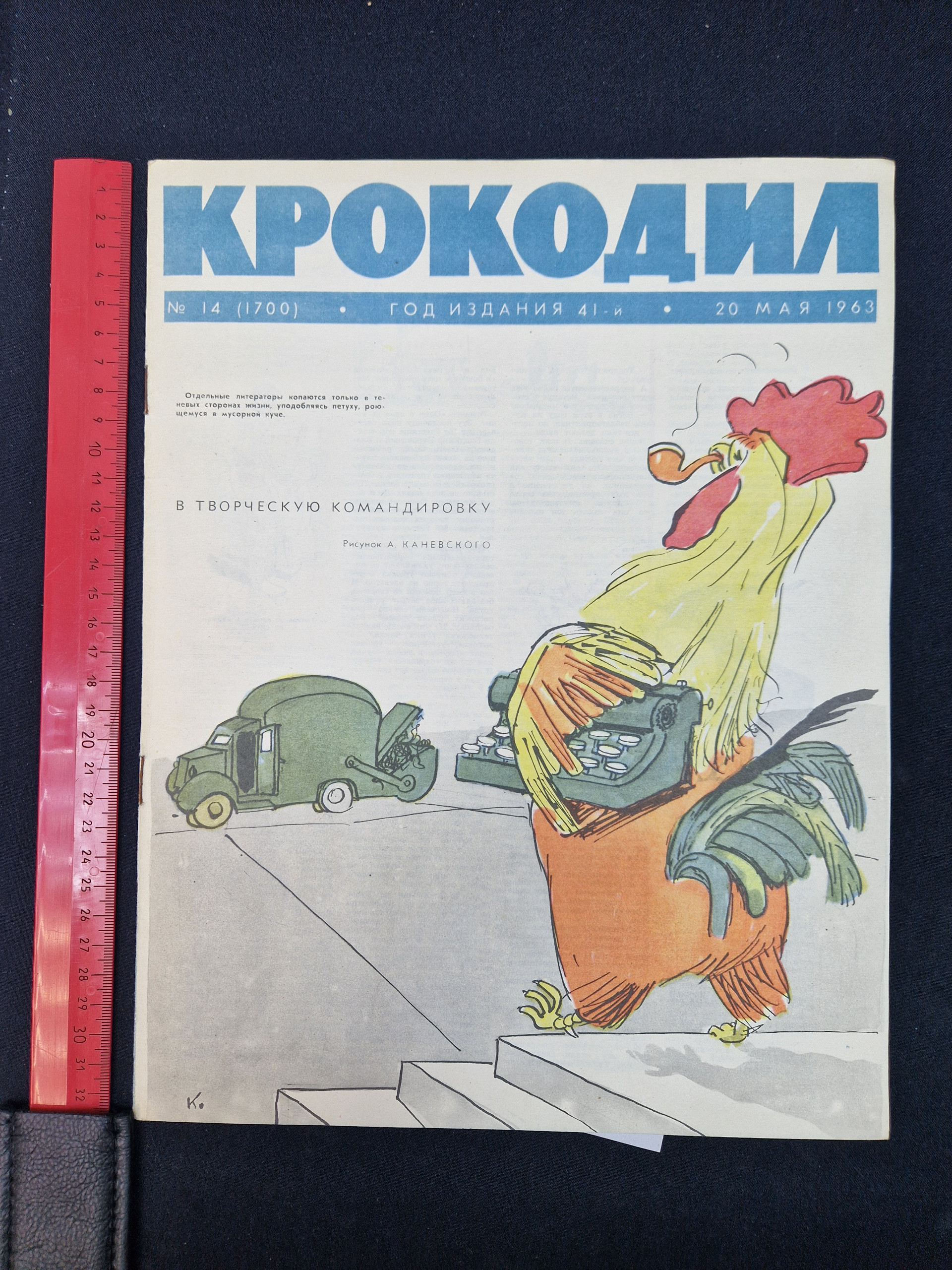 Картинка 8