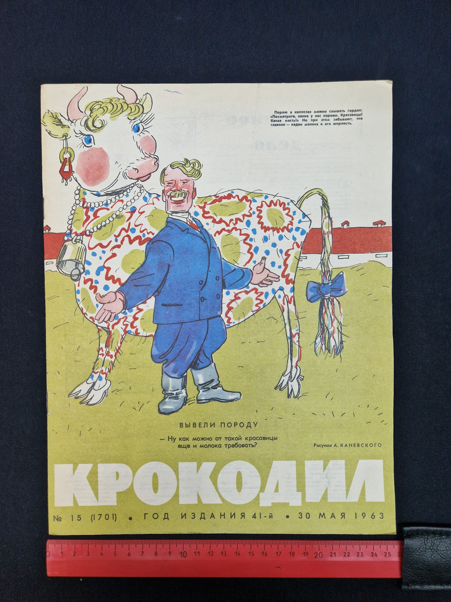 Картинка 7