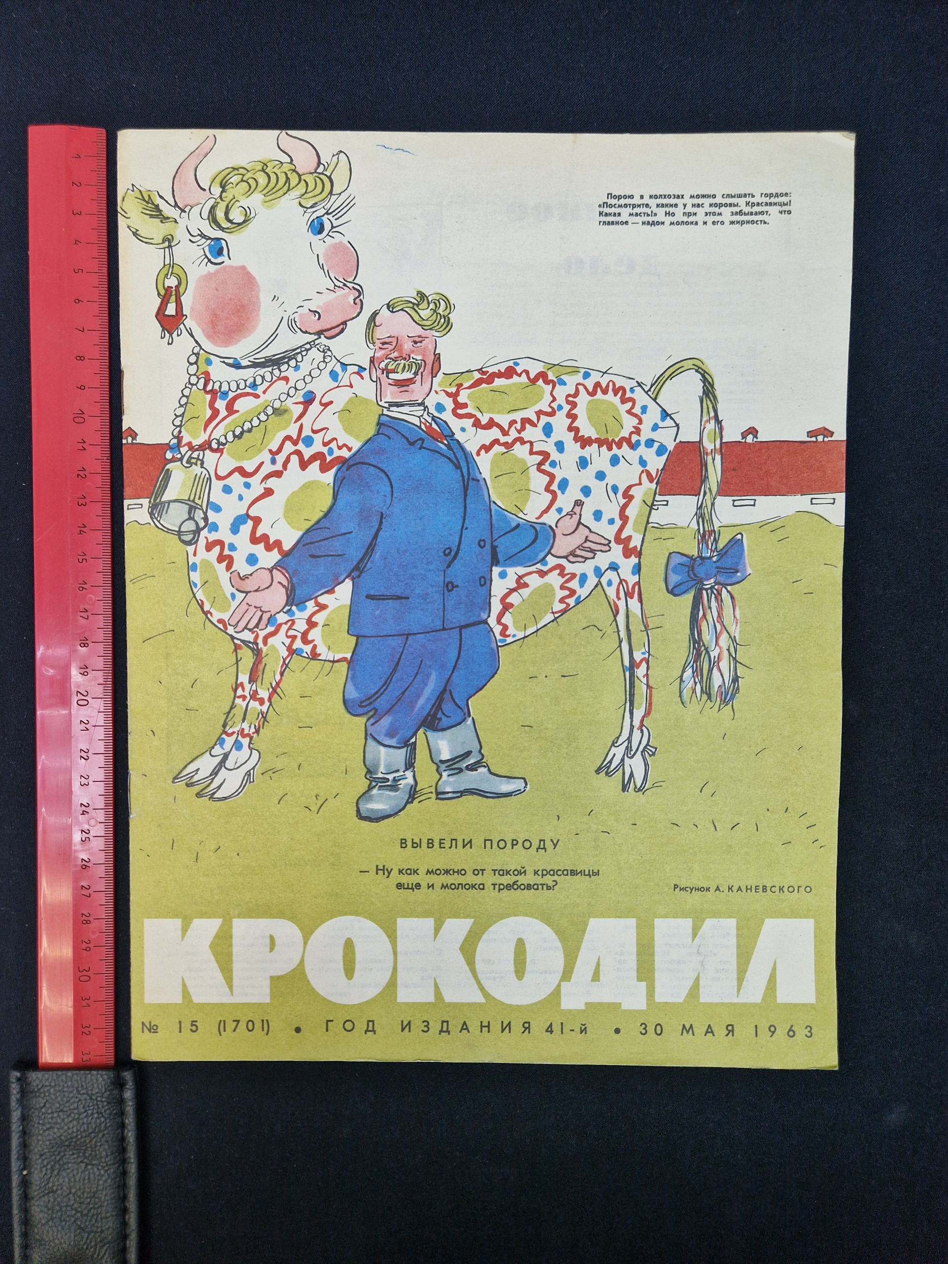 Картинка 8