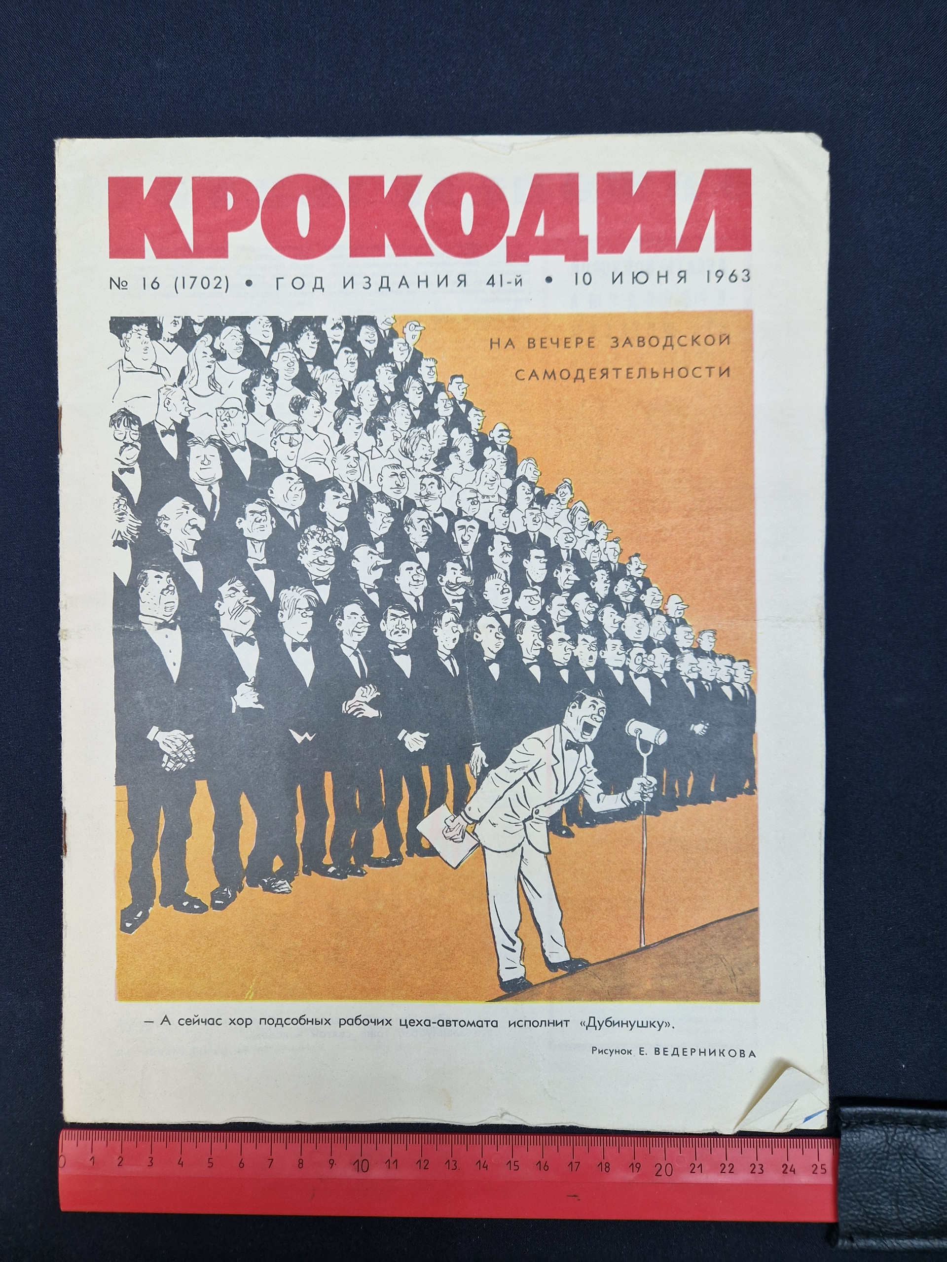 Картинка 6
