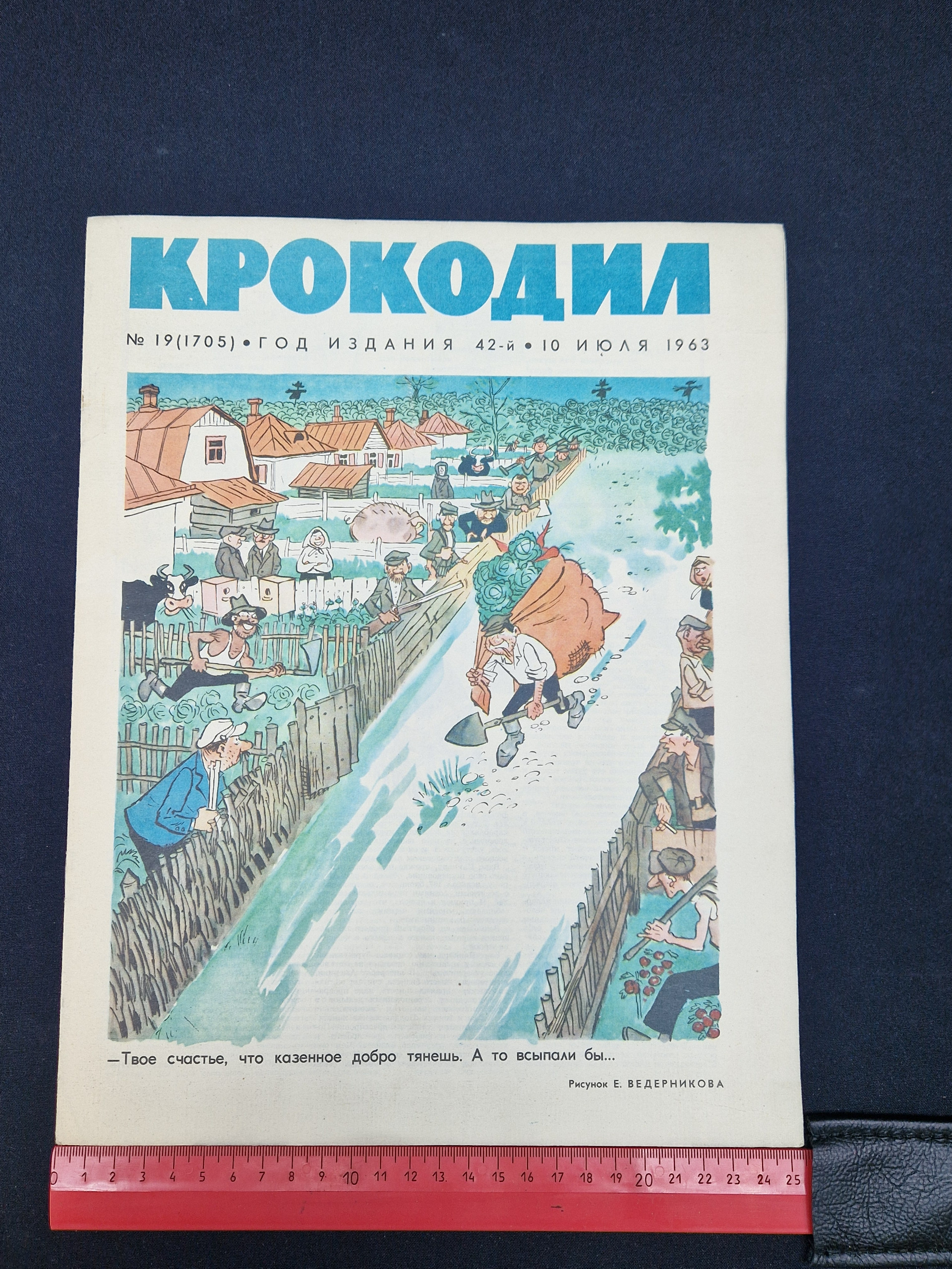 Картинка 7