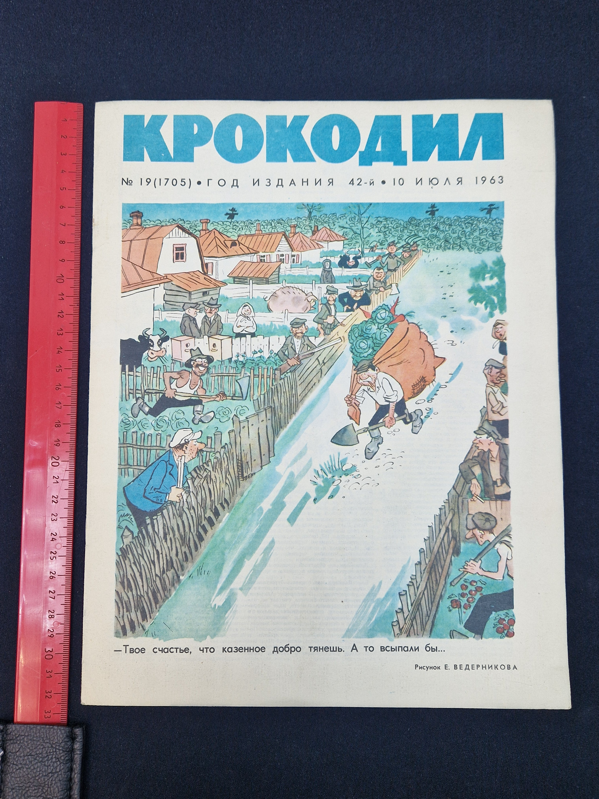 Картинка 8