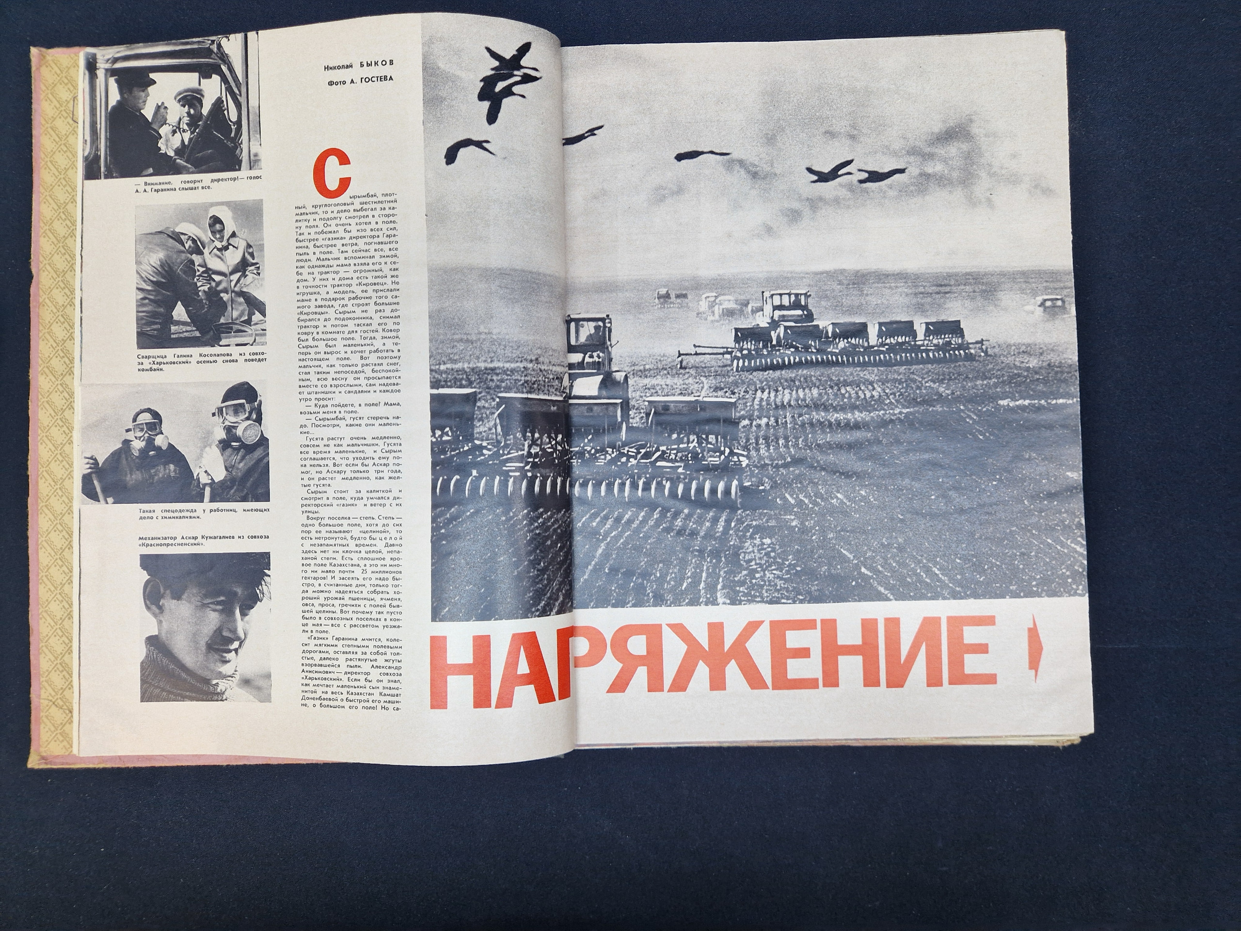 Картинка 7