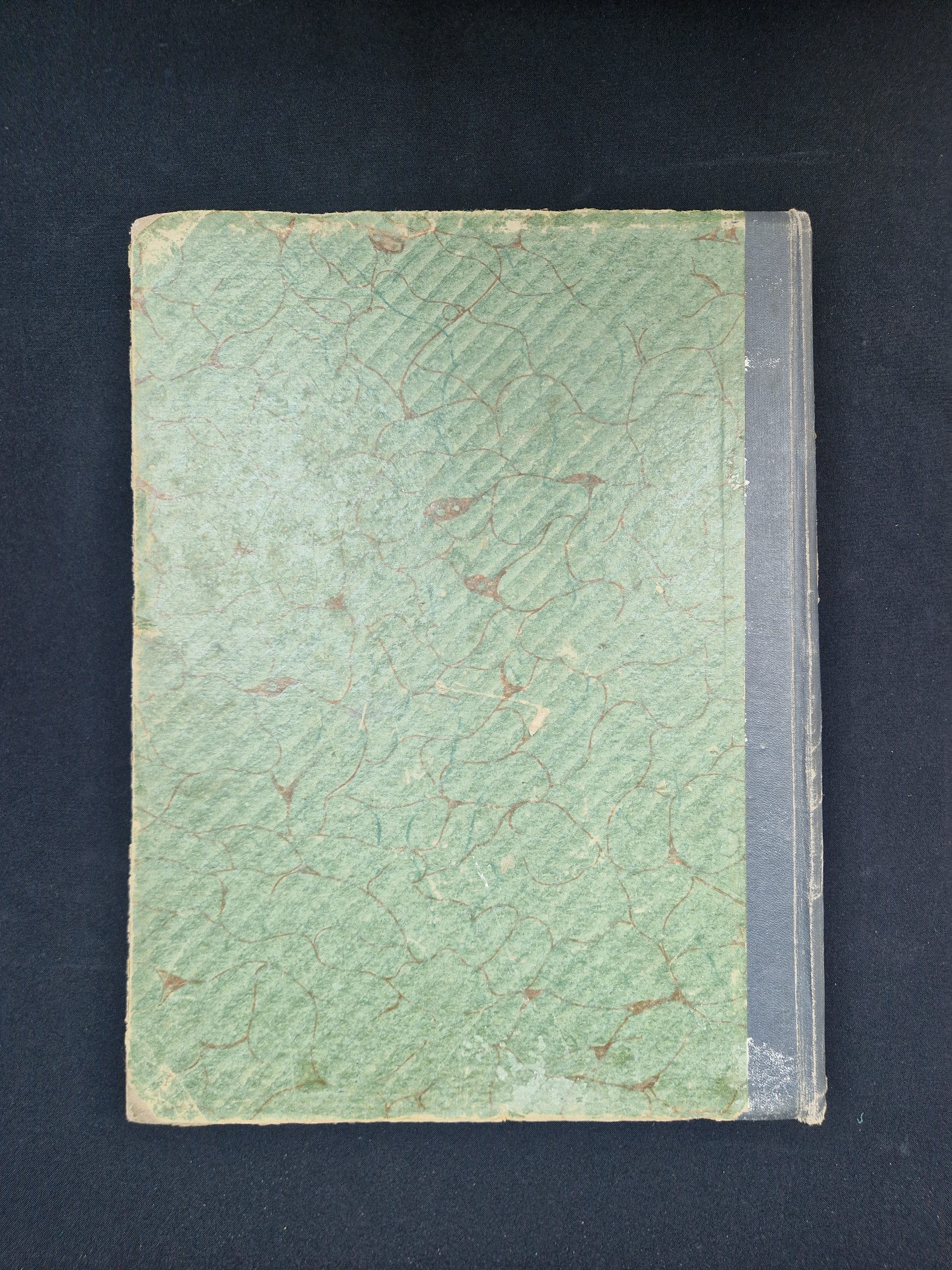Картинка 10