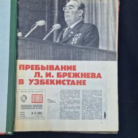 Картинка 8