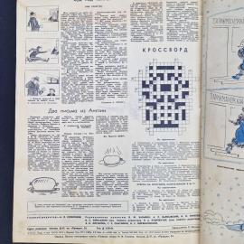 Картинка 5